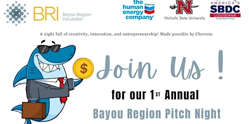 Bayou Region Pitch Night 2024 primary image