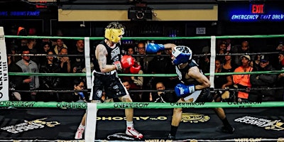 Image principale de AVILA BOXING  FIGHT NIGHT