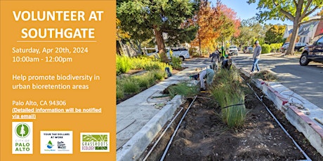 Volunteer Outdoors in Palo Alto: Bioretention Area Maintenance at Southgate