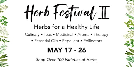 Herb Festival II