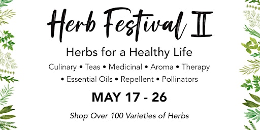Imagem principal do evento Herb Festival II
