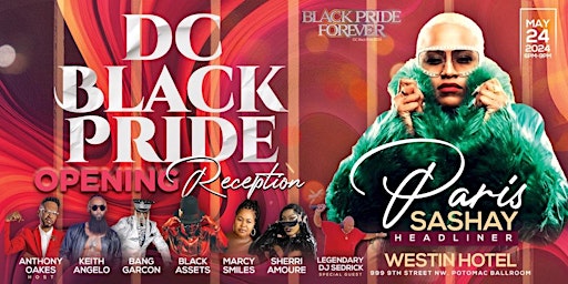 2024 DC Black Pride Opening Reception  primärbild