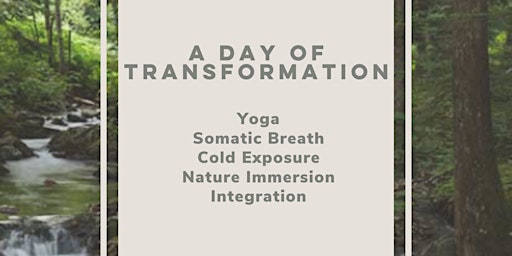 Immagine principale di A Day of Transformation 