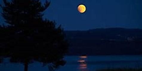 Primaire afbeelding van Full Moon Walk at Brandow Point