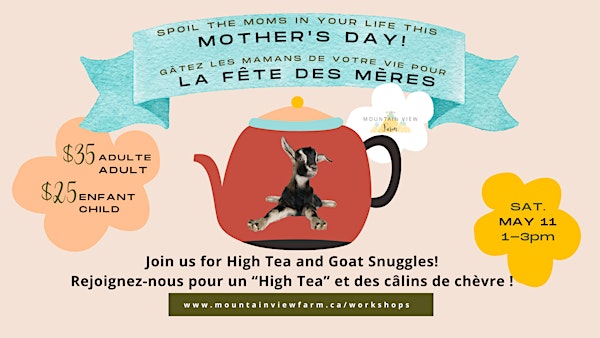 Mothers Day Tea and Goat Snuggle