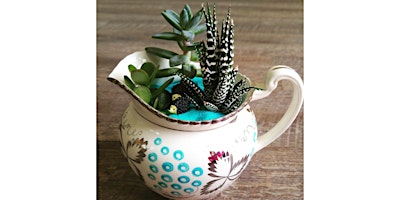 Workshop: Create Your Own Teacup Succulent Arrangement primary image