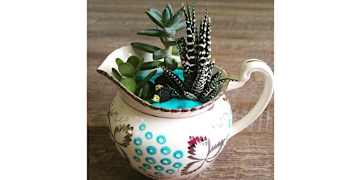 Immagine principale di Workshop: Create Your Own Teacup Succulent Arrangement 