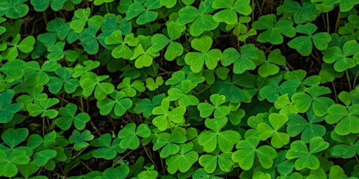 Imagem principal do evento Sowing The Seeds Of Luck And Abundance