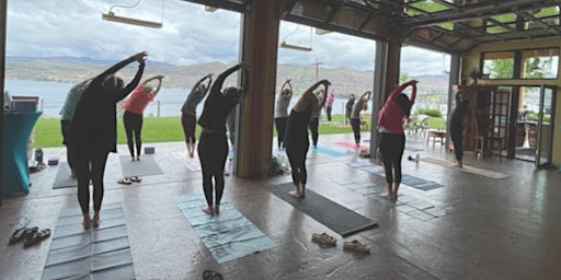 Yoga + Wine at Mellisoni Vineyards primary image