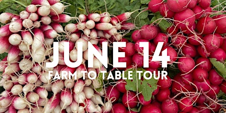 Imagem principal do evento Edible Adventure Farm to Table Tours