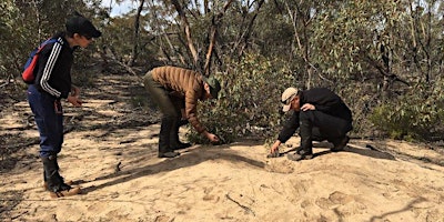 Primaire afbeelding van Victorian Malleefowl Recovery Group Reporting Back Weekend 18-19 May 2024