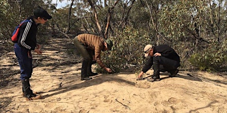 Victorian Malleefowl Recovery Group Reporting Back Weekend 18-19 May 2024