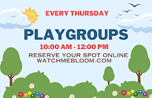 Imagen principal de Playgroup in Fairfax May 2024