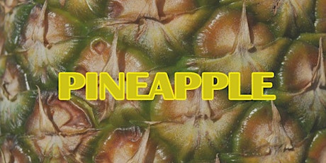 Pineapple Launch Party! primary image