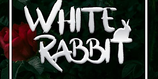Imagem principal do evento DJ White Rabbit
