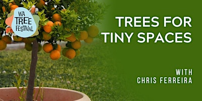 Primaire afbeelding van Trees for Tiny Spaces