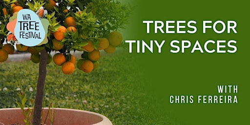 Primaire afbeelding van Trees for Tiny Spaces