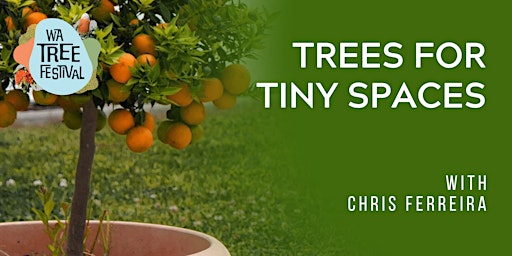 Imagem principal do evento Trees for Tiny Spaces