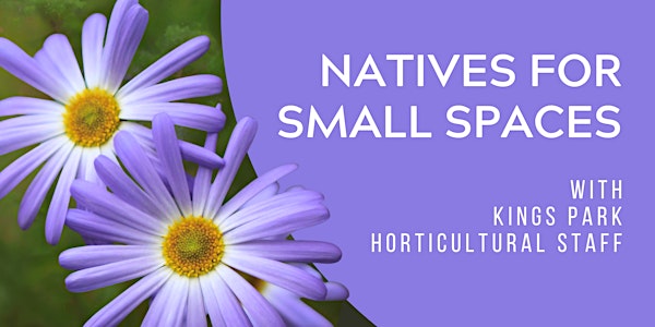 Growing Natives in Small Spaces