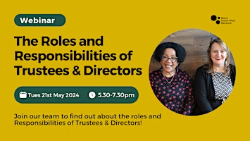 The Roles and Responsibilities of Trustees and Directors primary image