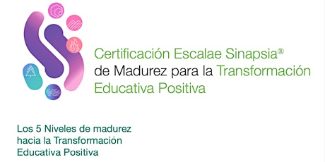 Cómo sostener la transformación educativa positiva: Cert. Escalae-Sinapsia