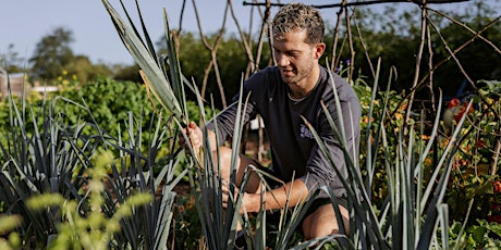 Discover RHS Professional Work Placements