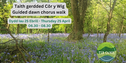 Taith gerdded Côr y Wig - Coed Gogerddan - Dawn chorus walk