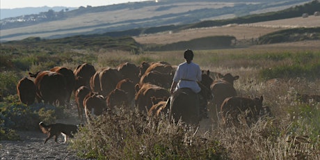 Learn about Conservation Grazing on Tamarisk Farm