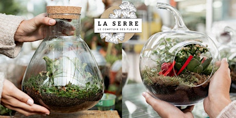 Atelier Terrarium : Créez Votre Écosystème Miniature!