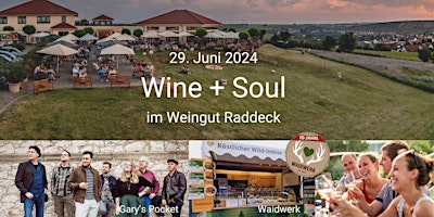 Hauptbild für Wein + Soul im Weingut Raddeck