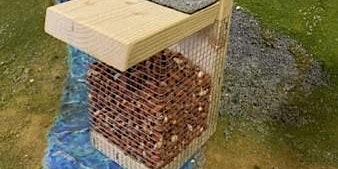 Peanut Bird Feeders at Ryton Pools Country Park primary image