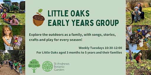 Little Oaks Early Years Group primary image