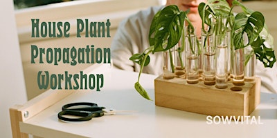 Imagem principal do evento House Plant Propagation Workshop