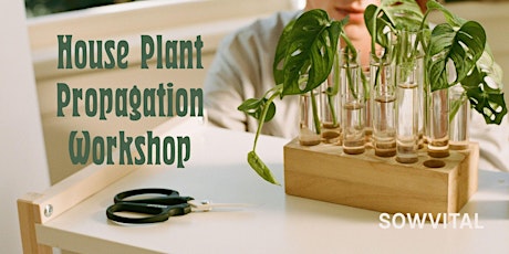 House Plant Propagation Workshop