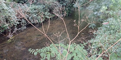 Green Thursday River Clean @ Five Acres primary image