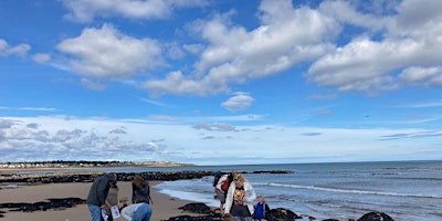 SeaScapes: Shoresearch Hartlepool Headland primary image