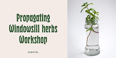 Imagem principal do evento Propagate your own edible herbs workshop