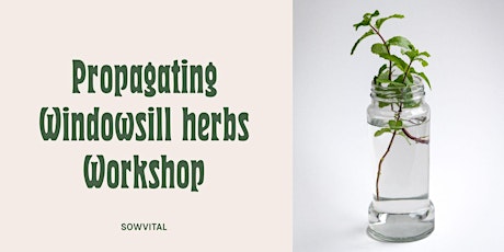Propagate your own edible herbs workshop