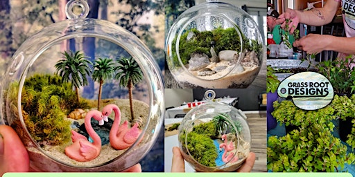 Imagem principal do evento Sip + Plant Terrariums | Mentor Brewing Co.