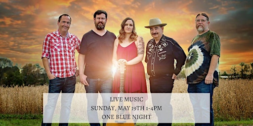Live Music by One Blue Night  at Lost Barrel Brewing primary image