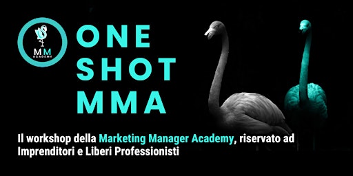 Primaire afbeelding van ONE-SHOT MMA: METODO DA ZERO A RESPONSABILE MARKETING