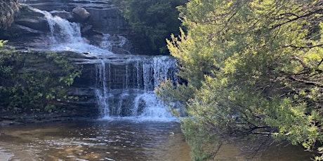 Scenic Hike & Picnic