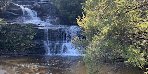 Scenic Hike & Picnic primary image