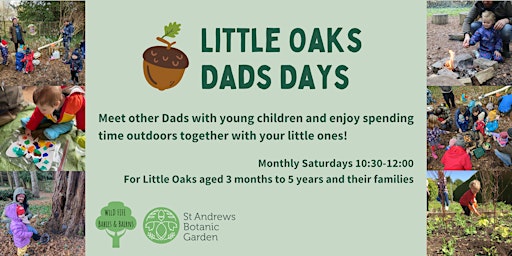Imagem principal do evento Little Oaks Dads Days