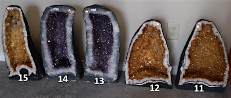 Image principale de Gem Amethyst Rock Fossil Sale May 11, 12 (9am - 5pm) - (Houston, TX)