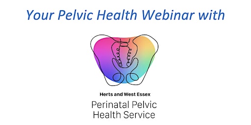 Herts & West Essex LMNS pelvic health webinar primary image