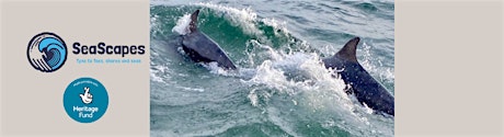 Imagen principal de SeaScapes: Sea Watch Whitburn Cliff Tops