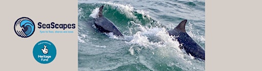 SeaScapes: Family Whale and Dolphin Watch @ Whitburn Coastal Conservation Centre primary image