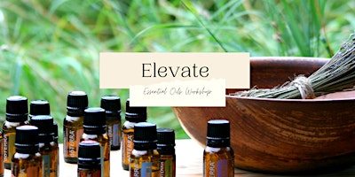 ELEVATE - Immersive Essential Oils Workshop primary image