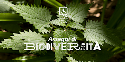 Image principale de Assaggi di biodiversità a Ormea